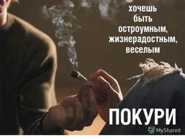 Смешные высказывания про сигареты