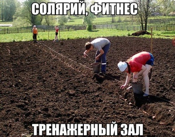 Хочу на дачу прикольные