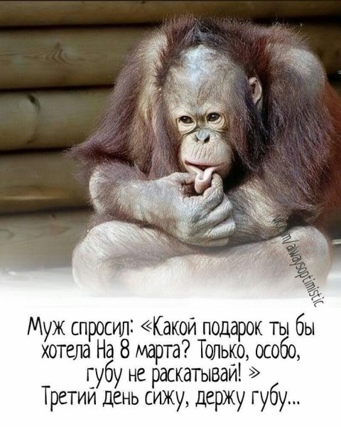 Смешные открытки для поднятия настроения