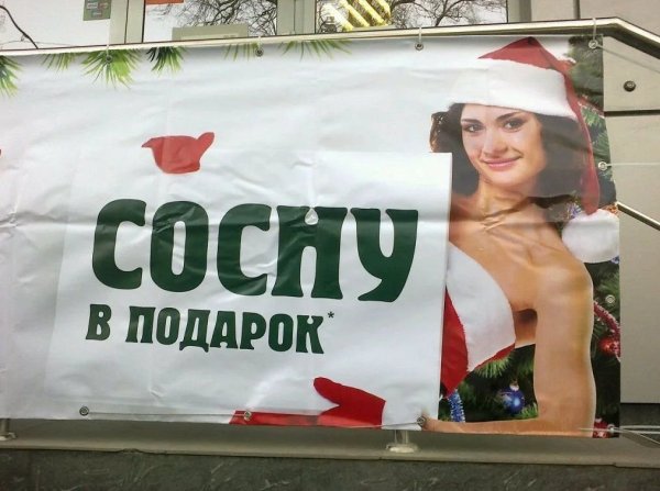 Реклама сосну