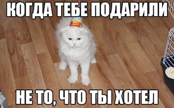 Подарочек Мем