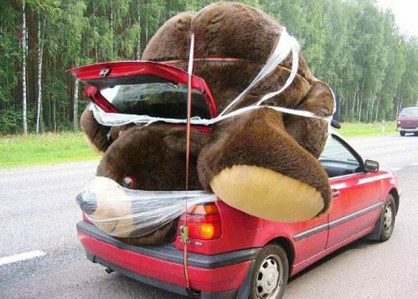 Плюшевый мишка прикольный