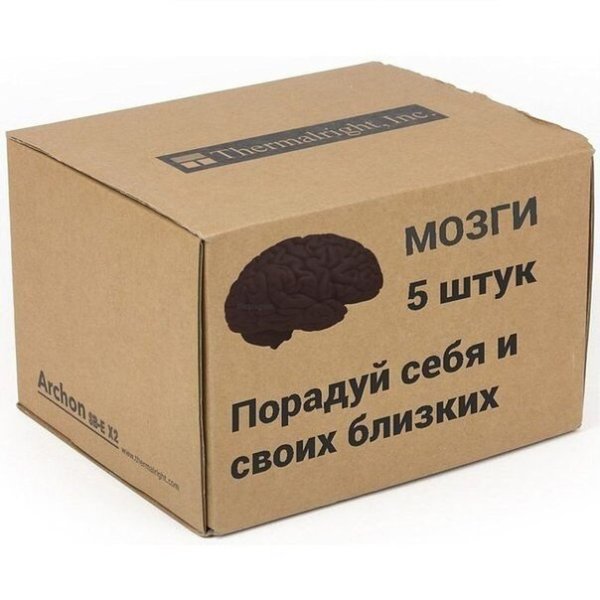 Мозги в подарок