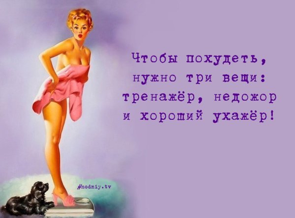 Веселые картинки про похудение