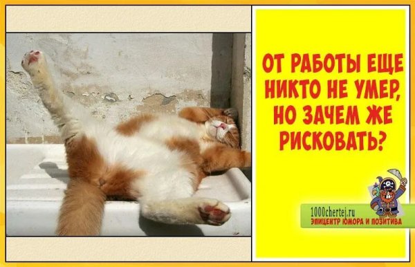 Картинки прикольные смешные с надписями