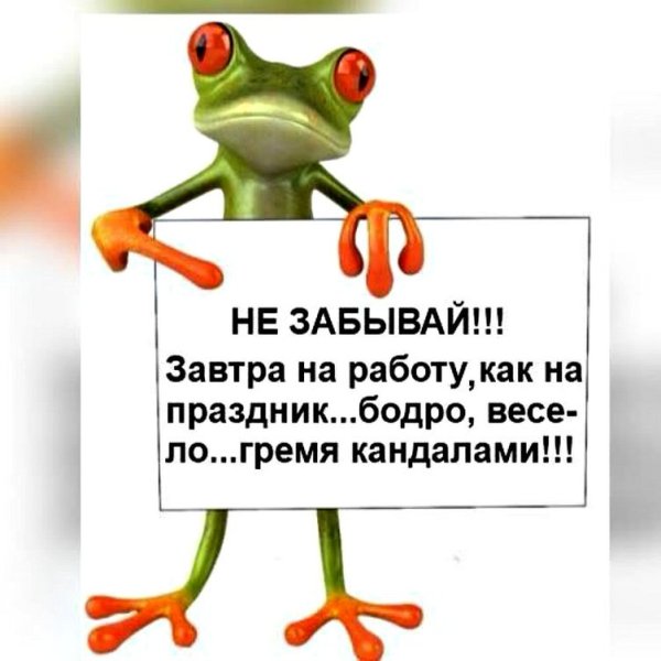 Приколы про работу