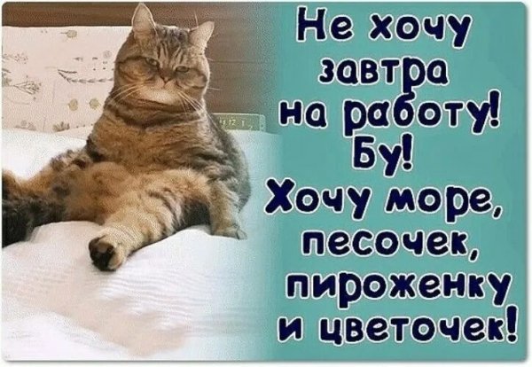 Завтра на работу юмор