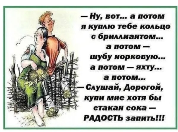 Смешные цитаты про шубу