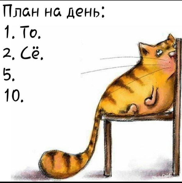 Пора спать!