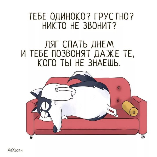 Смешные фразы про сон