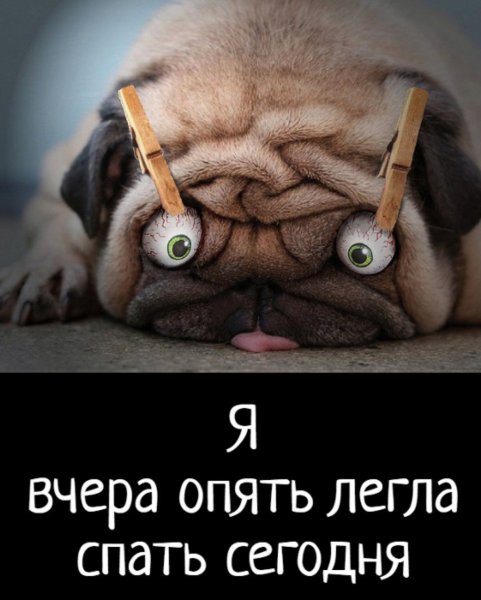 Сонное утро приколы