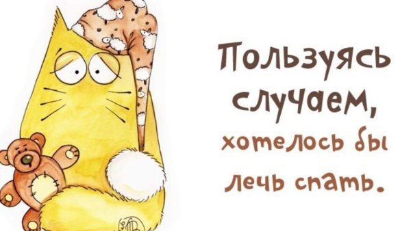 Когда очень хочется спать картинки прикольные