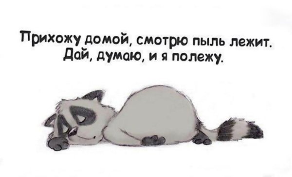 Спать картинки прикольные