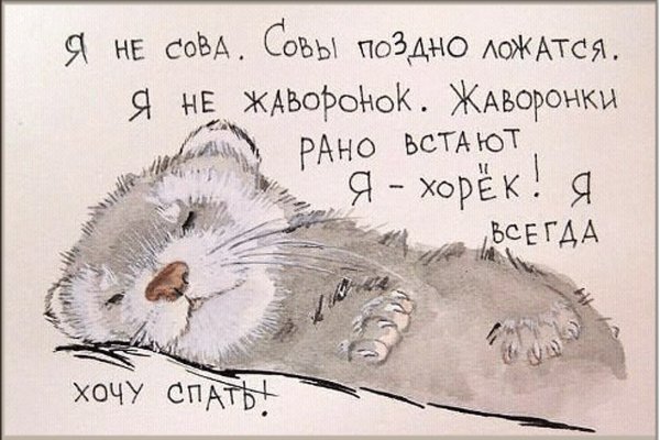 Стихи про сон прикольные
