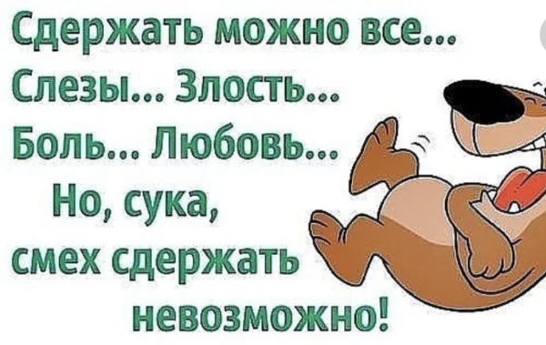 Смех юмор