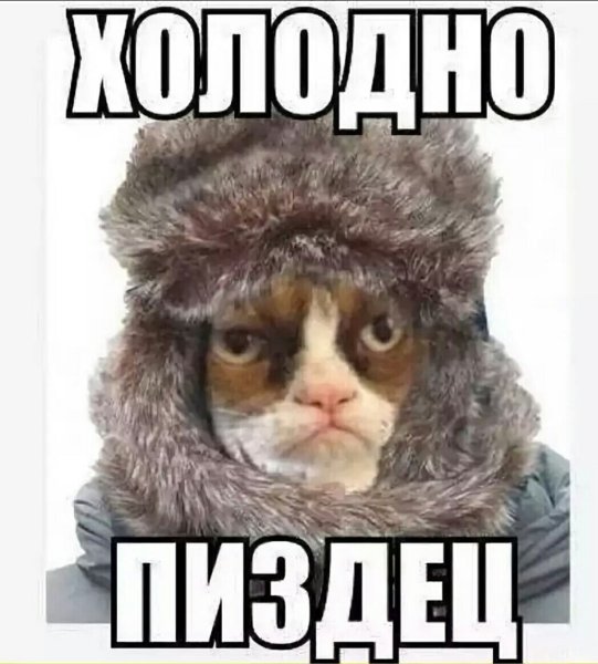 Холодно прикольные