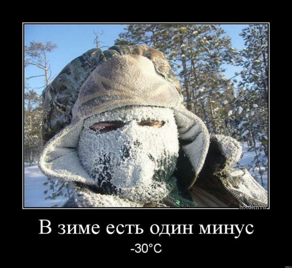 Шутки про Мороз