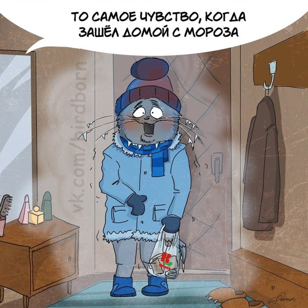 Мороз юмор