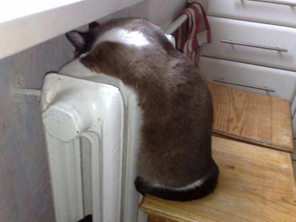 Скоро зима приколы