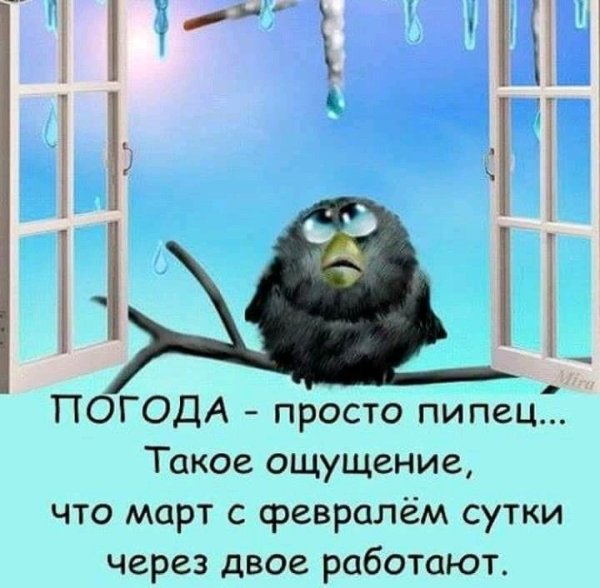 Март с февралем сутки через двое работают