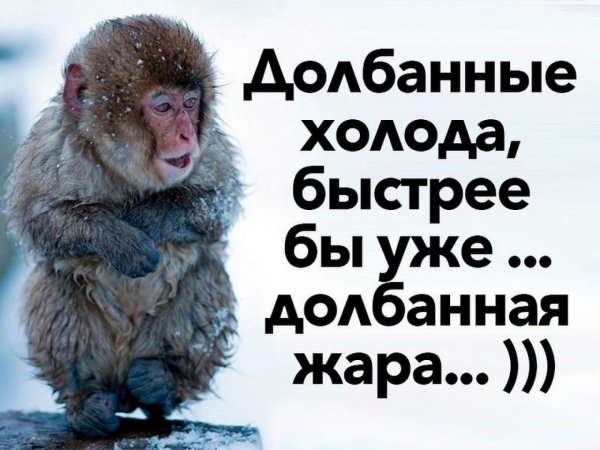 Долбанные холода жара долбанная