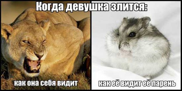 Как выглядит девушка когда злится