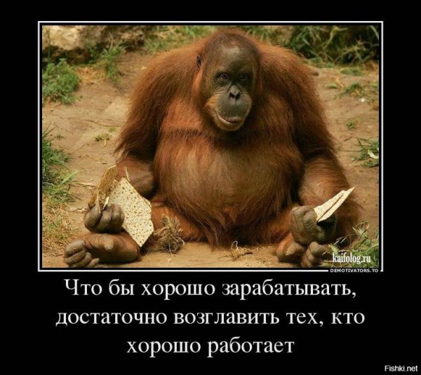 Обезьяна на работе