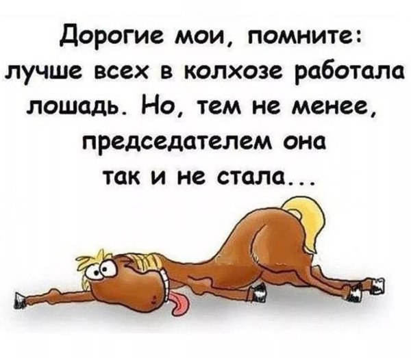 Смешные высказывания