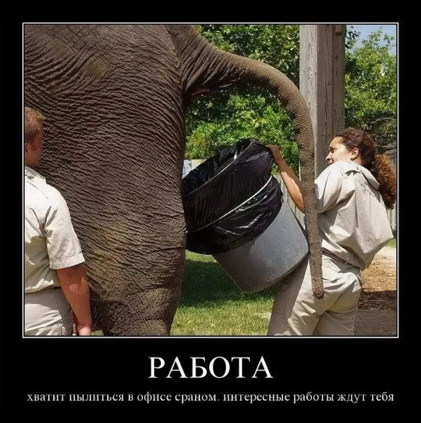 Плохая работа юмор