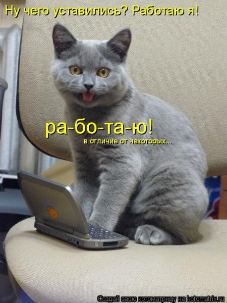 Я на работе картинки прикольные