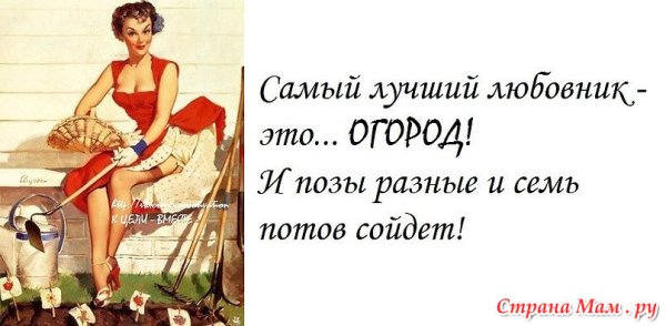 Смешные афоризмы про.любовниц