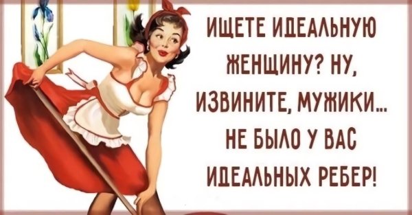 Идеальная женщина юмор