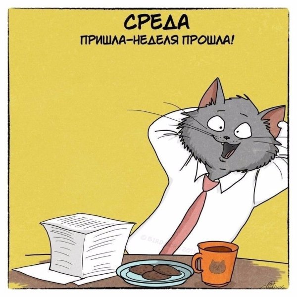 Смешные открытки