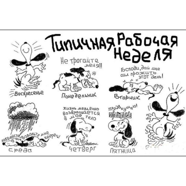 Хорошего рабочего дня коллегам