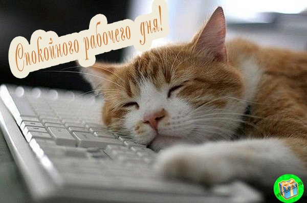 Удачного трудового дня