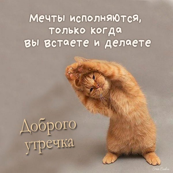 Пикольныеоткрытки с добрым утром