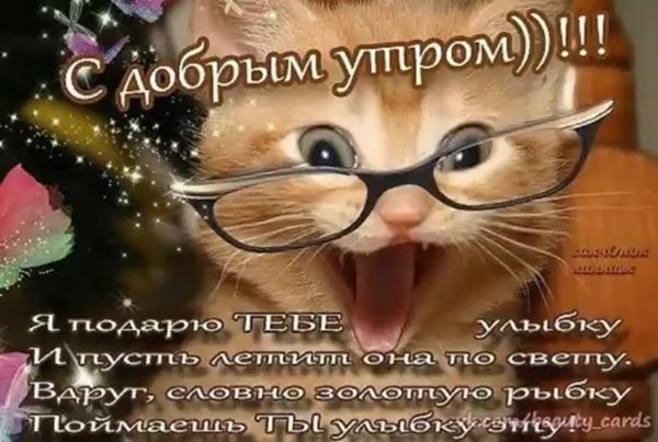 Открытки с добрым утром шуточные
