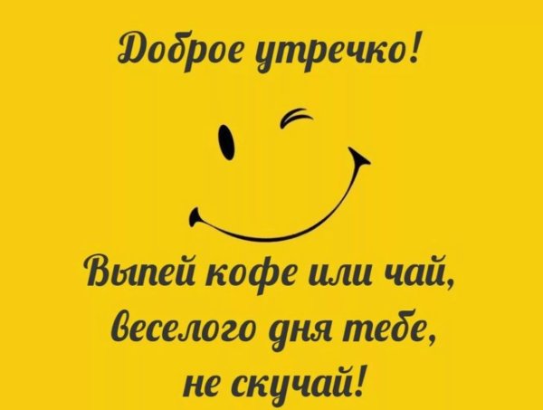 Смешные пожелания хорошего дня