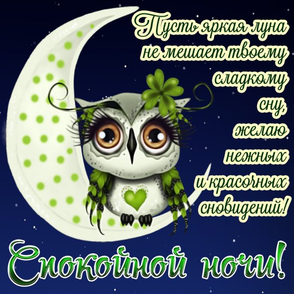 Поздравление спокойной ночи