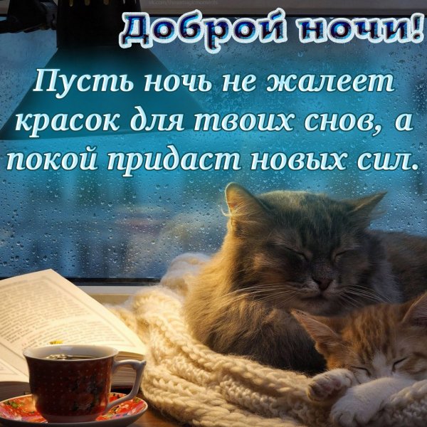 Хорошей ночи