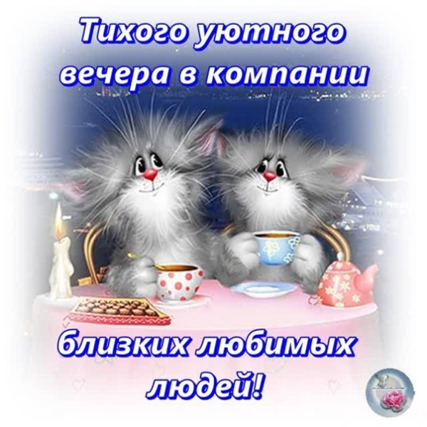 Приятного вечера и отличного настроения прикольные
