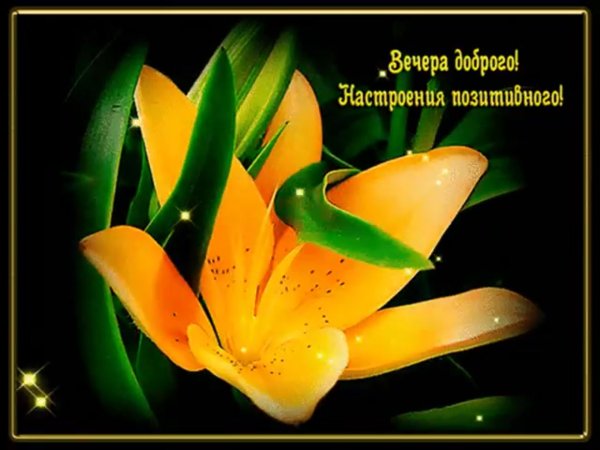 Открытки хорошего вечера и отличного настроения