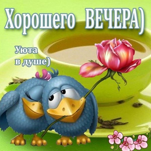 Весёлые пожелания доброго вечера
