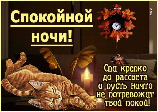 Пожелания спокойной ночи