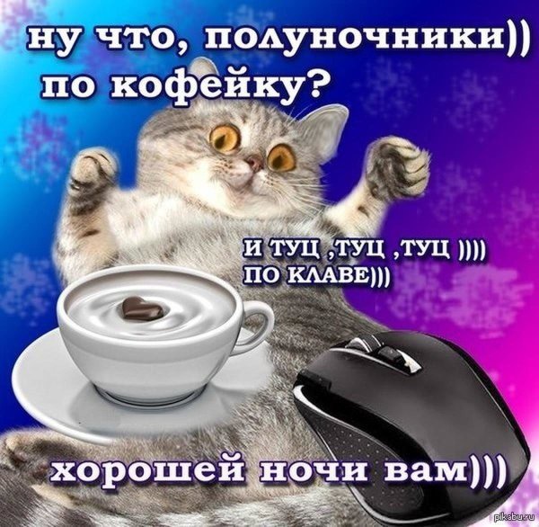 Ну что Полуночники