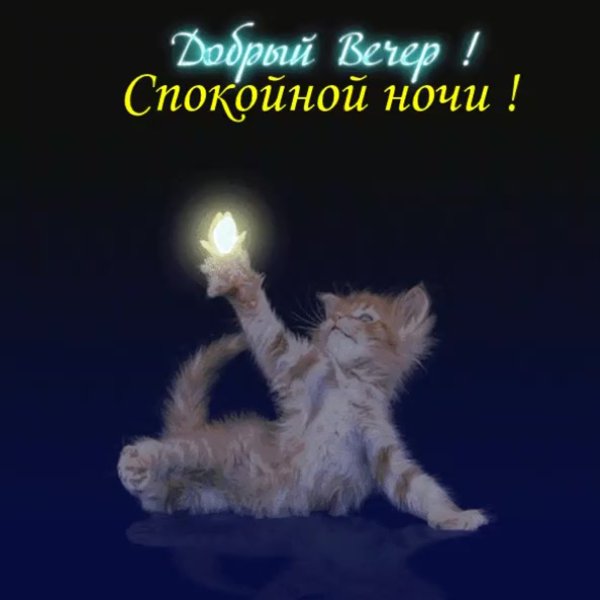 Хорошей ночи