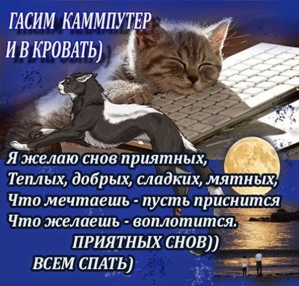 Стихи на сон грядущий