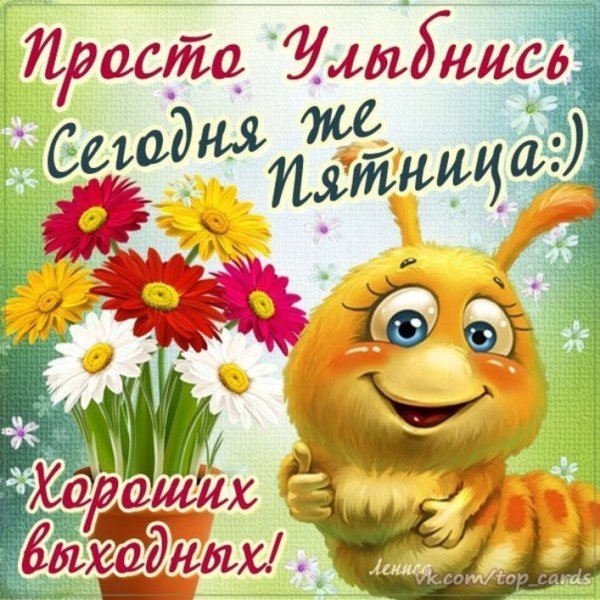 Открытки с добрым утром прикольные