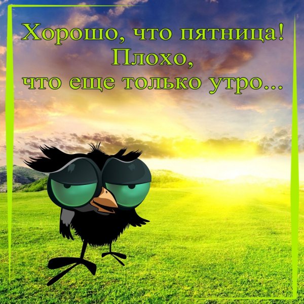 С добрым утром пятницы пожелание