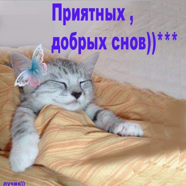Спокойной ночи хороших снов